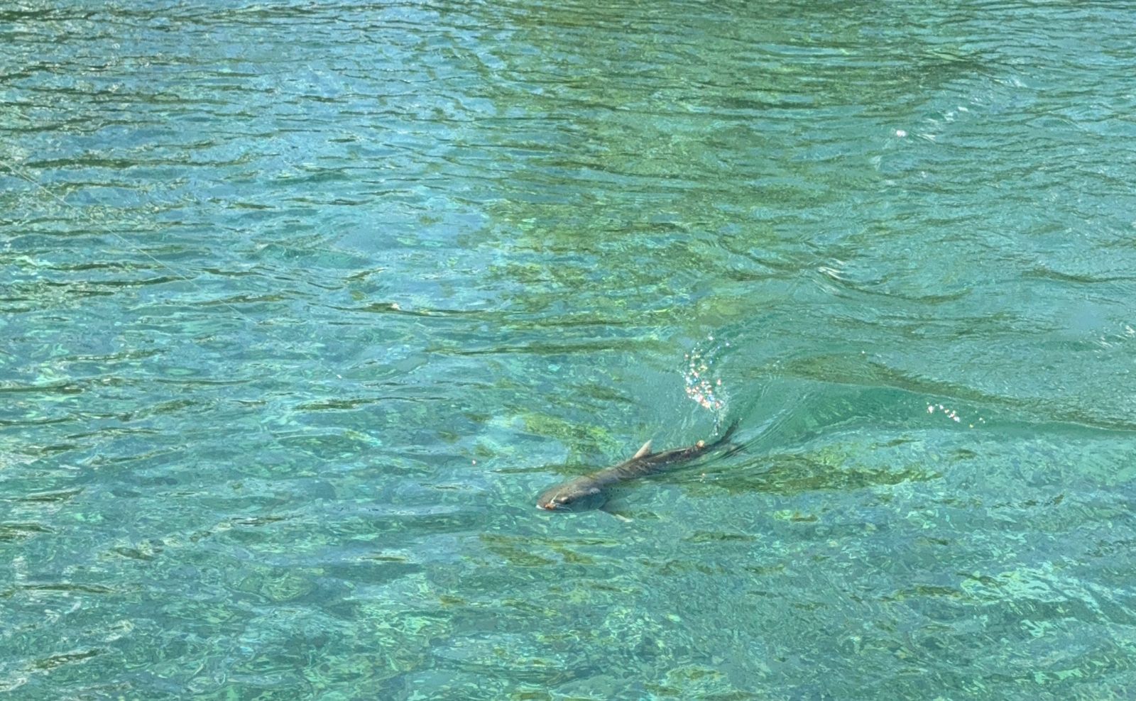 Atardecer en río patagónico