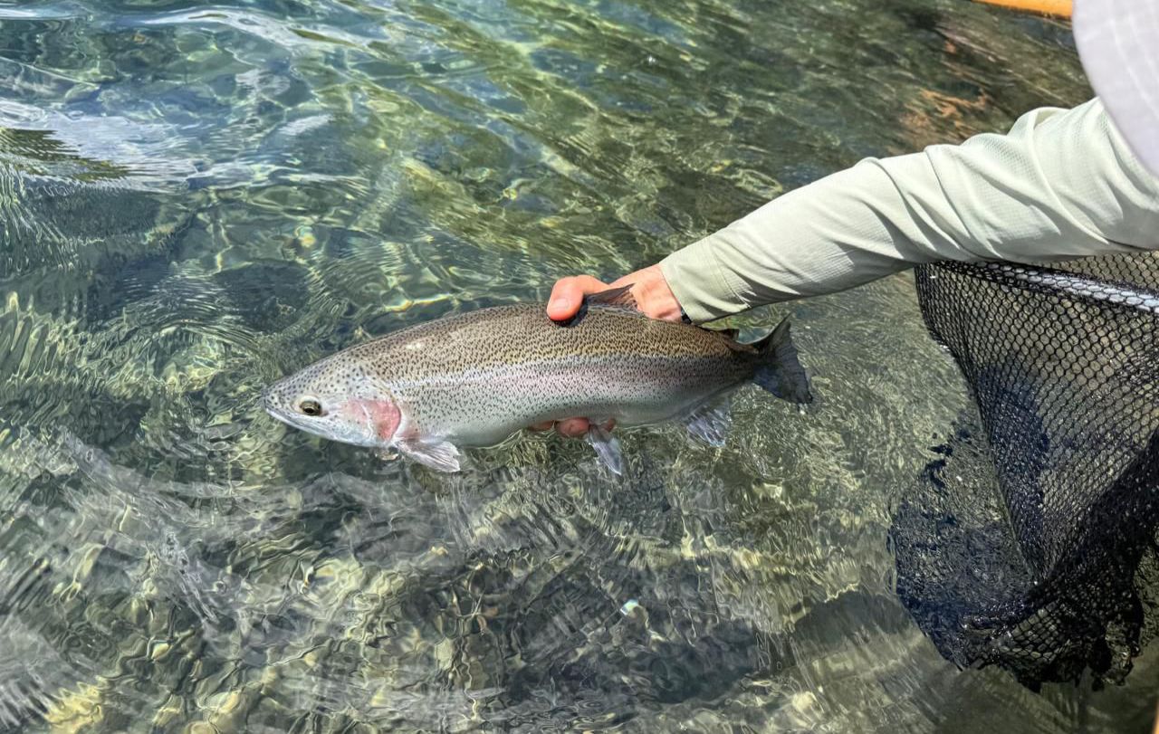 Atardecer en río patagónico